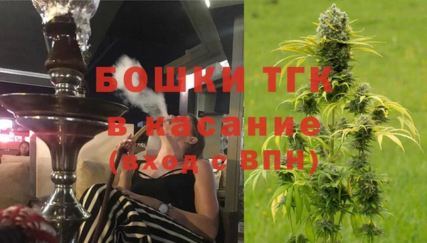стафф Арсеньев