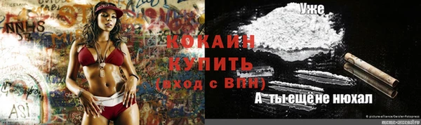 стафф Арсеньев