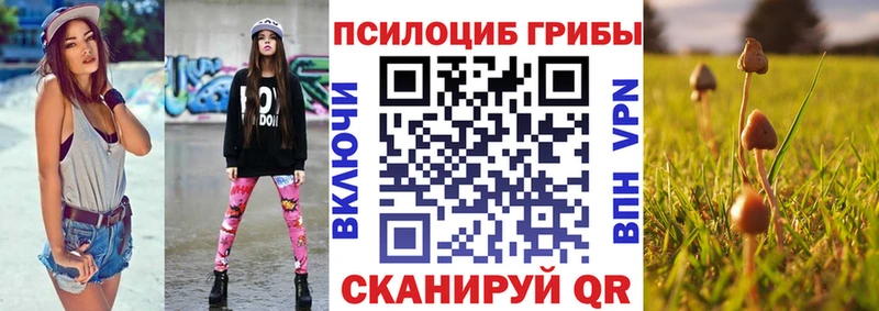 Галлюциногенные грибы Psilocybine cubensis  Кубинка 